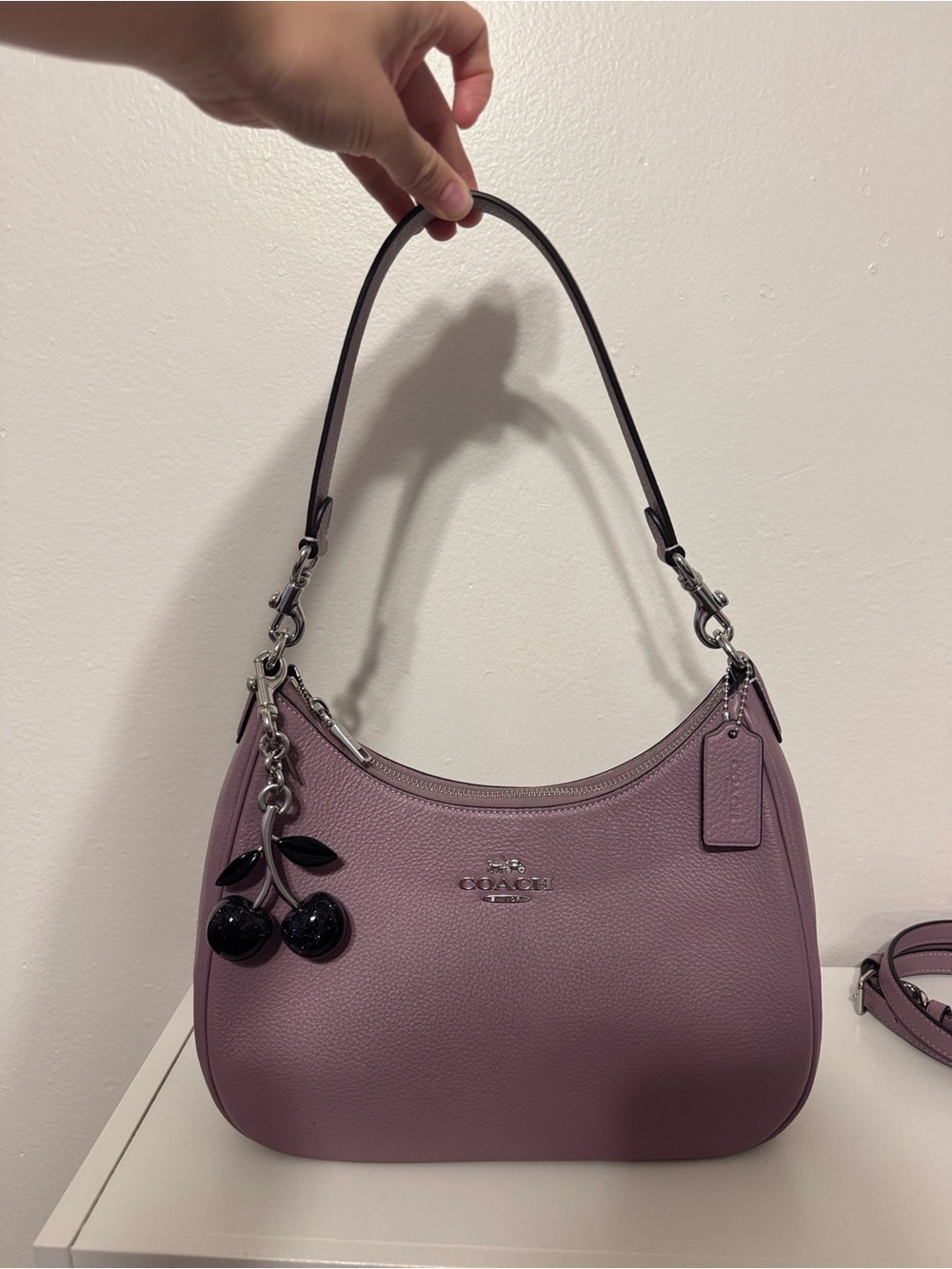 Coach Teri Hobo bag with charm
